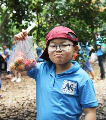 Khóa Hè cho Bé 7-8 tuổi